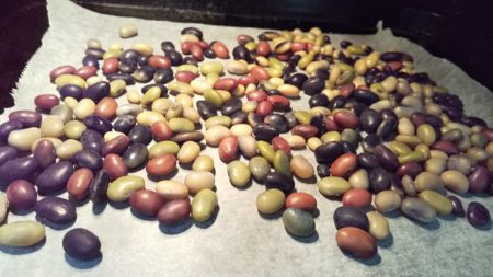 煎り大豆をオーブンで作る